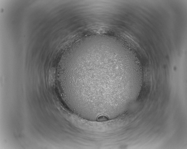 X0000059820030200510241407