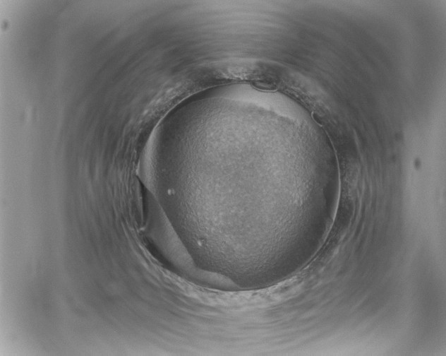 X0000059820031200510241407