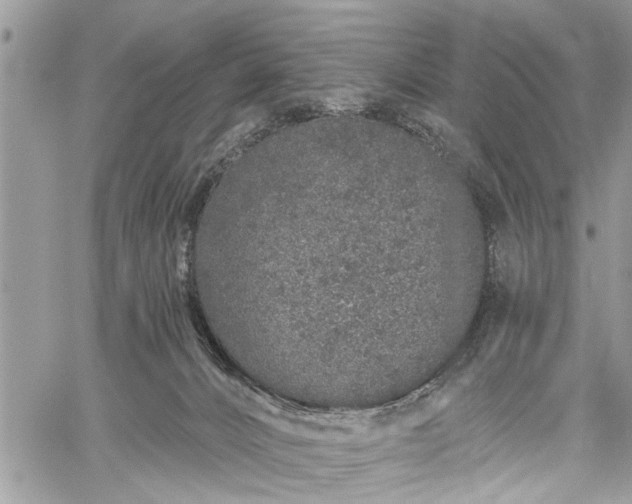 X0000059820032200510241407