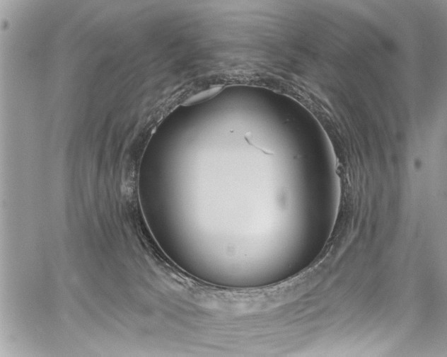 X0000059820033200510241407