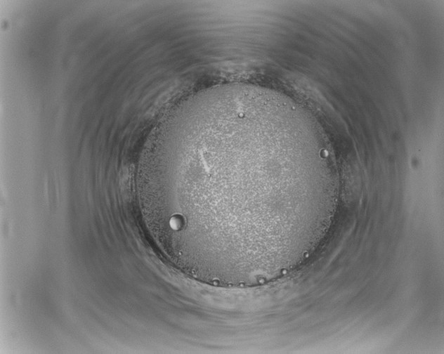 X0000059820034200510241407