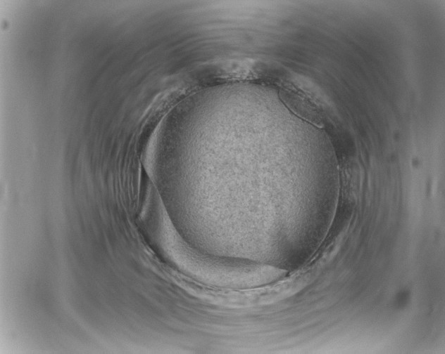 X0000059820035200510241407