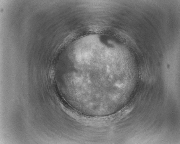 X0000059820036200510241407