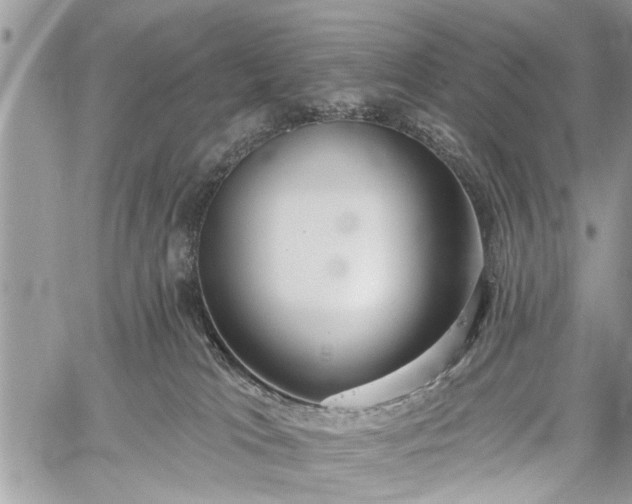 X0000059820037200510241407