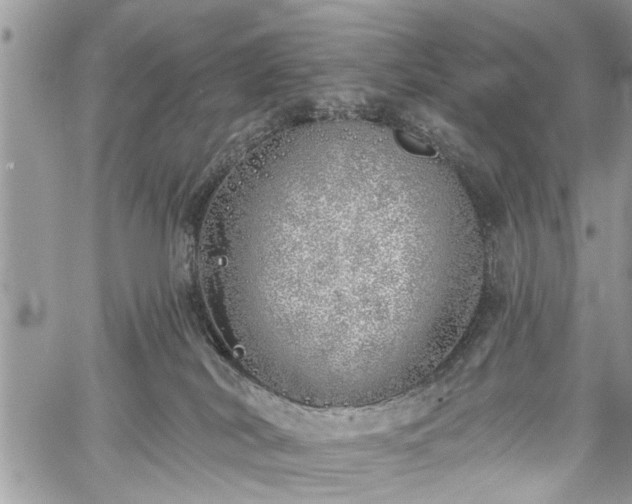 X0000059820038200510241407