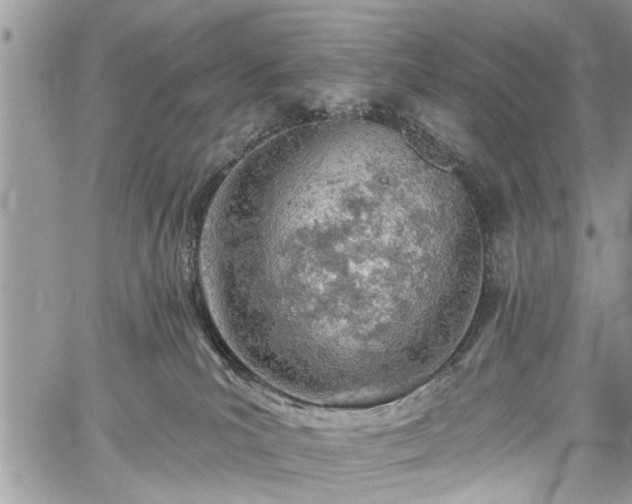 X0000059820039200510241407