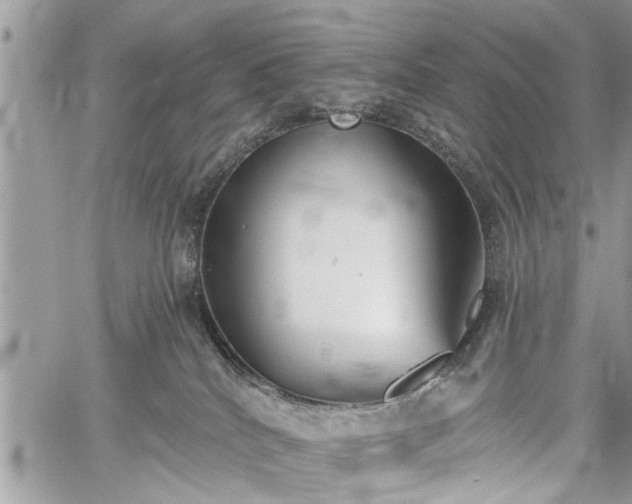 X0000059820040200510241407