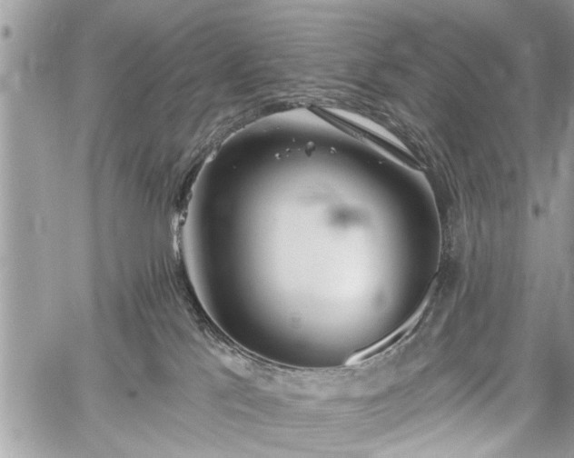 X0000059820041200510241407