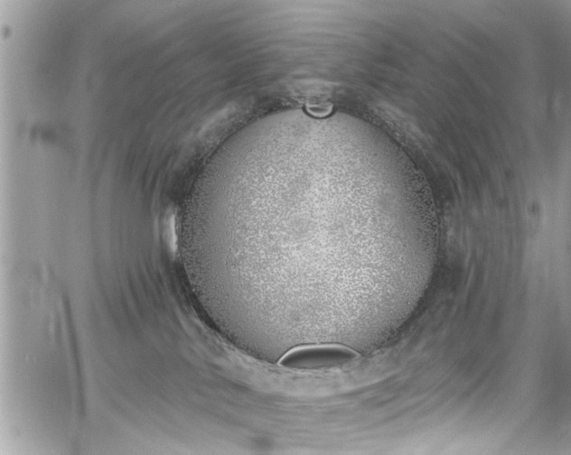 X0000059820042200510241407