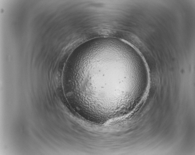 X0000059820043200510241407