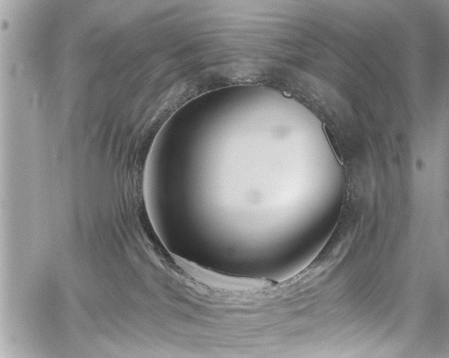 X0000059820044200510241407