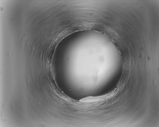 X0000059820045200510241407