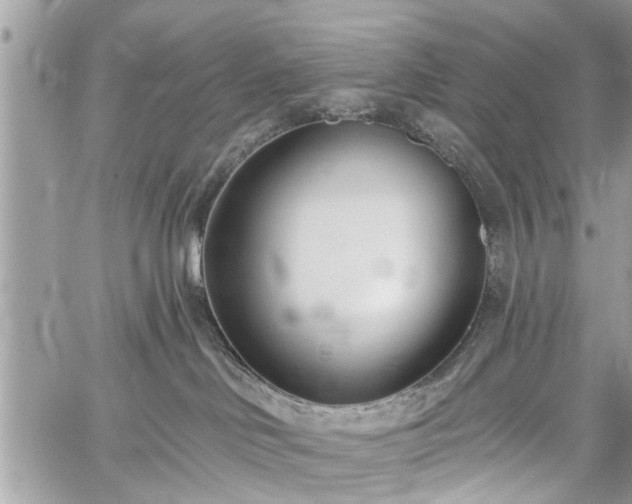 X0000059820046200510241407