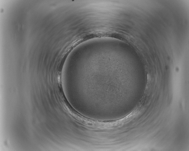 X0000059820048200510241406