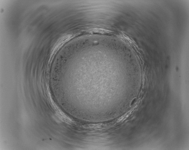 X0000059820049200510241406