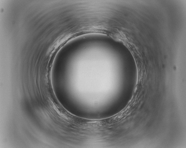 X0000059820050200510241406