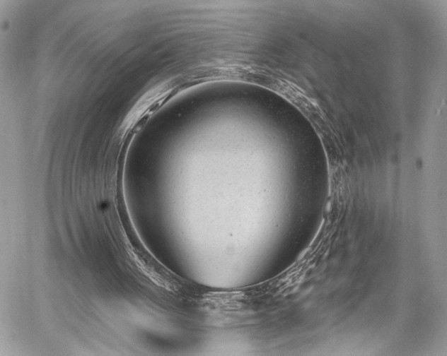 X0000059820051200510241406