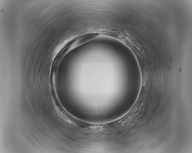 X0000059820052200510241406