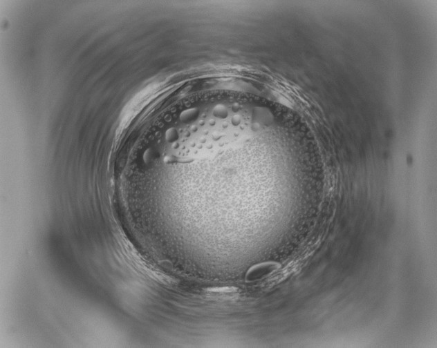 X0000059820053200510241406