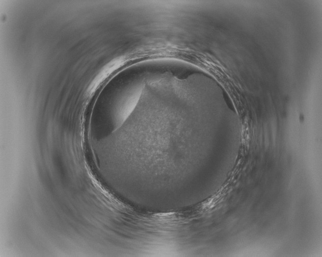 X0000059820054200510241406