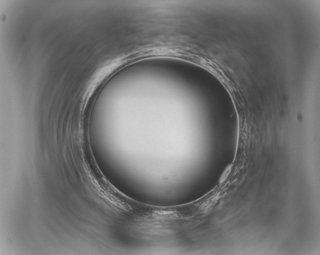 X0000059820055200510241406