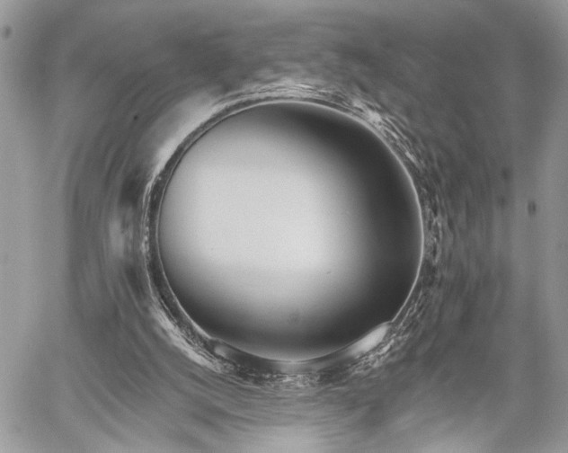 X0000059820056200510241406