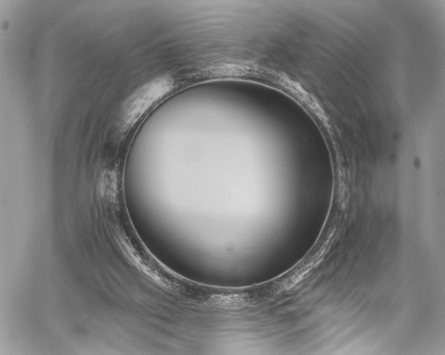 X0000059820057200510241406