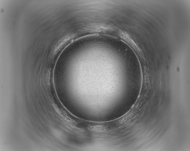 X0000059820058200510241406