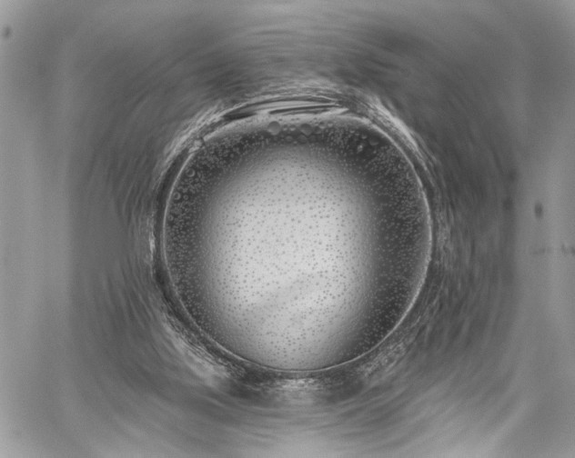 X0000059820059200510241406