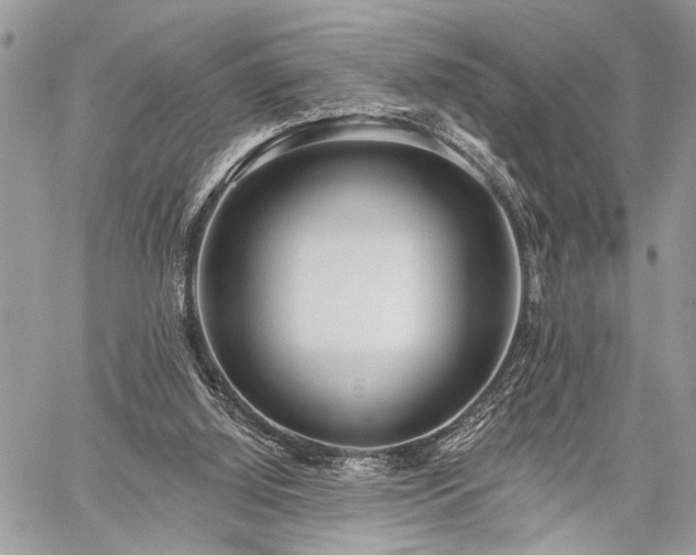 X0000059820060200510241406