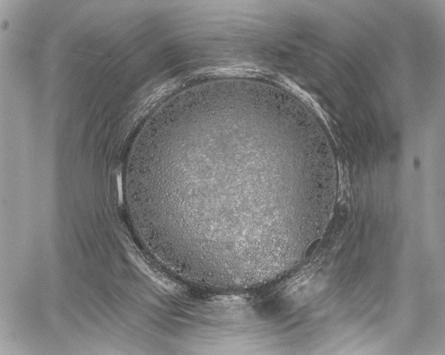 X0000059820061200510241406