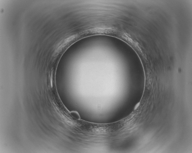 X0000059820062200510241406