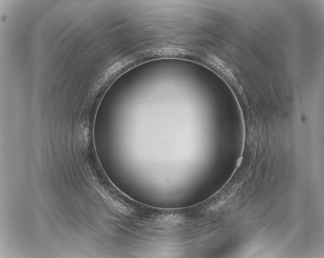 X0000059820063200510241406