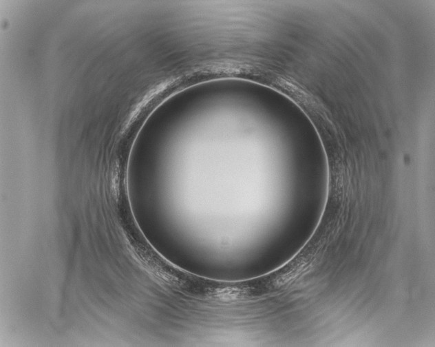 X0000059820064200510241406