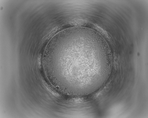 X0000059820065200510241406