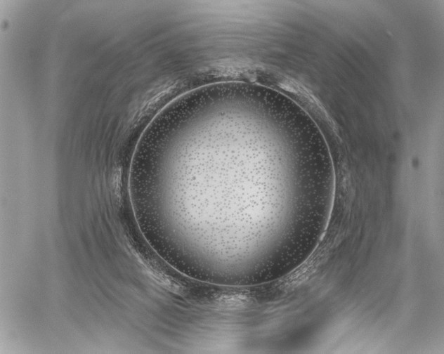 X0000059820066200510241406