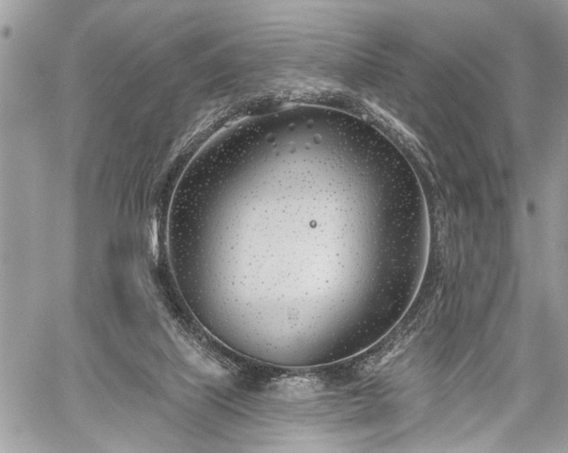 X0000059820067200510241406