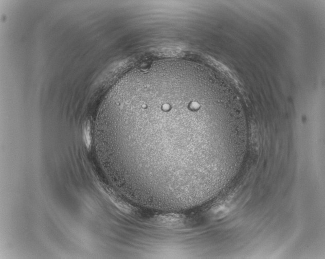 X0000059820069200510241406