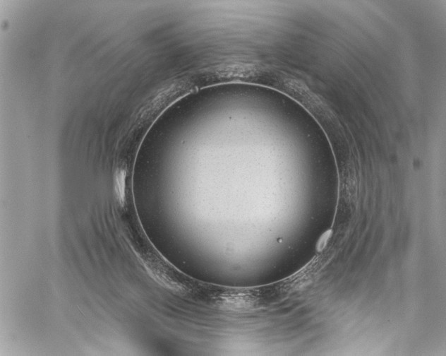 X0000059820070200510241406