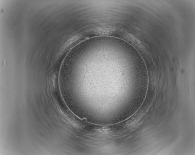 X0000059820071200510241406