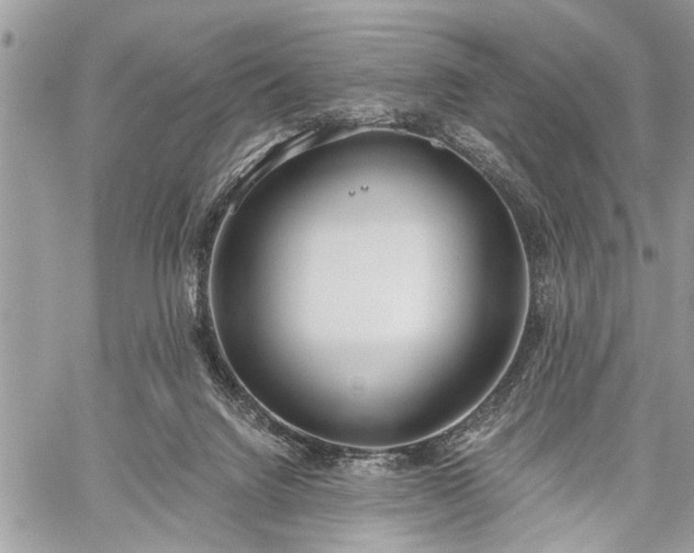 X0000059820072200510241406