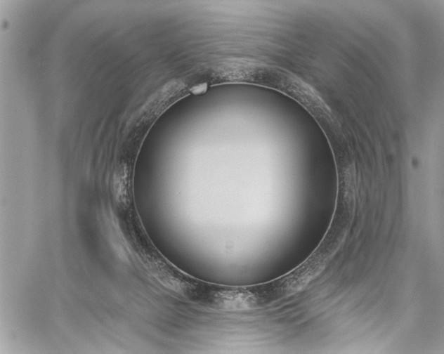 X0000059820073200510241406