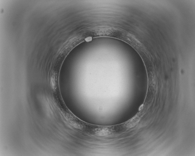 X0000059820074200510241406