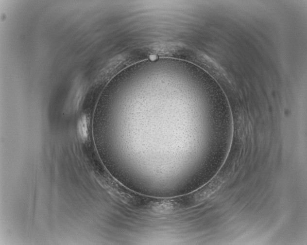 X0000059820075200510241406