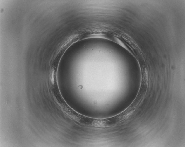 X0000059820076200510241406