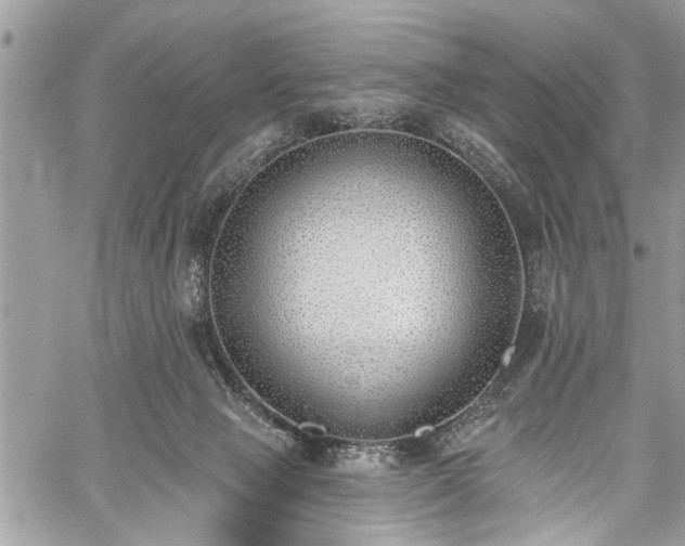 X0000059820077200510241406