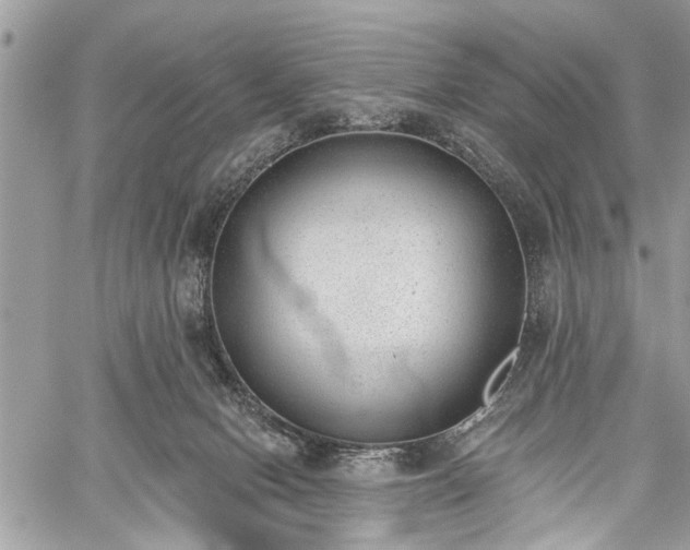 X0000059820078200510241406