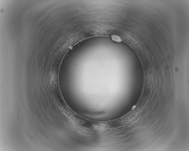 X0000059820079200510241406