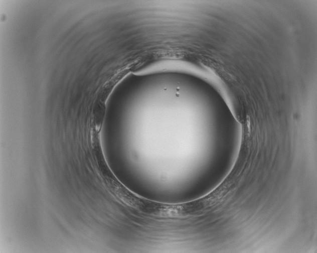 X0000059820080200510241406