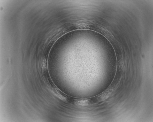 X0000059820081200510241406